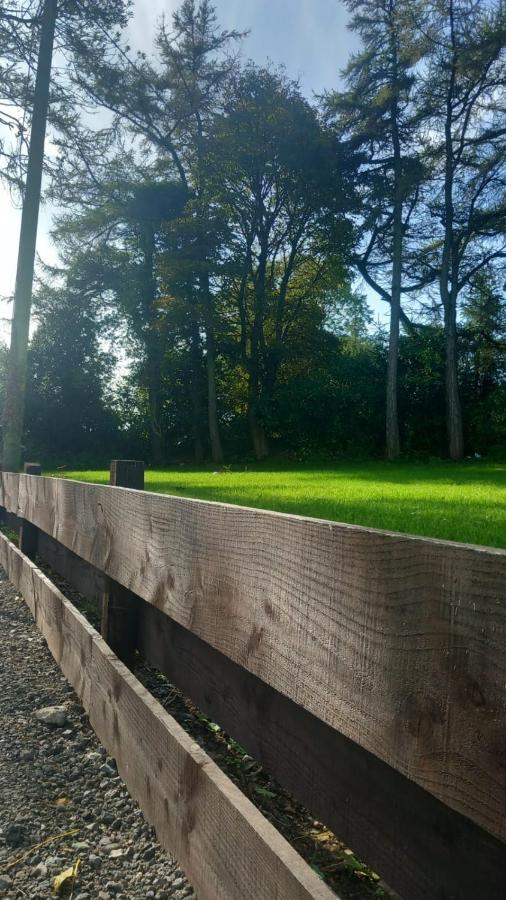 The Annex Apartment Roundwood Ngoại thất bức ảnh